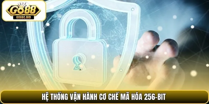 Hệ thống vận hành cơ chế mã hóa 256-bit